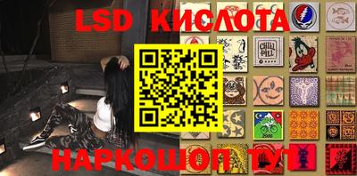 гидропоника Камышлов