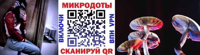 как найти закладки  Котовск  Псилоцибиновые грибы Cubensis 