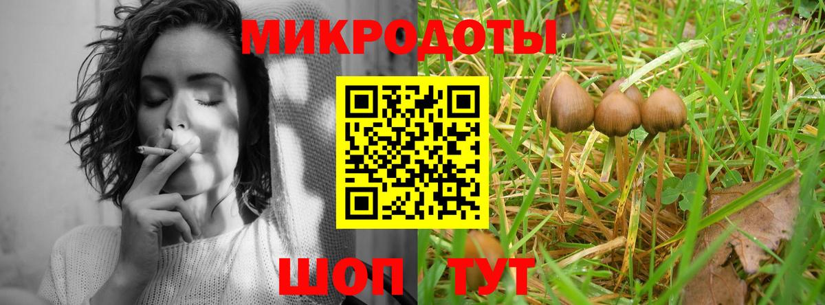 что такое наркотик  Вход с VPN  Котовск  Галлюциногенные грибы Cubensis 